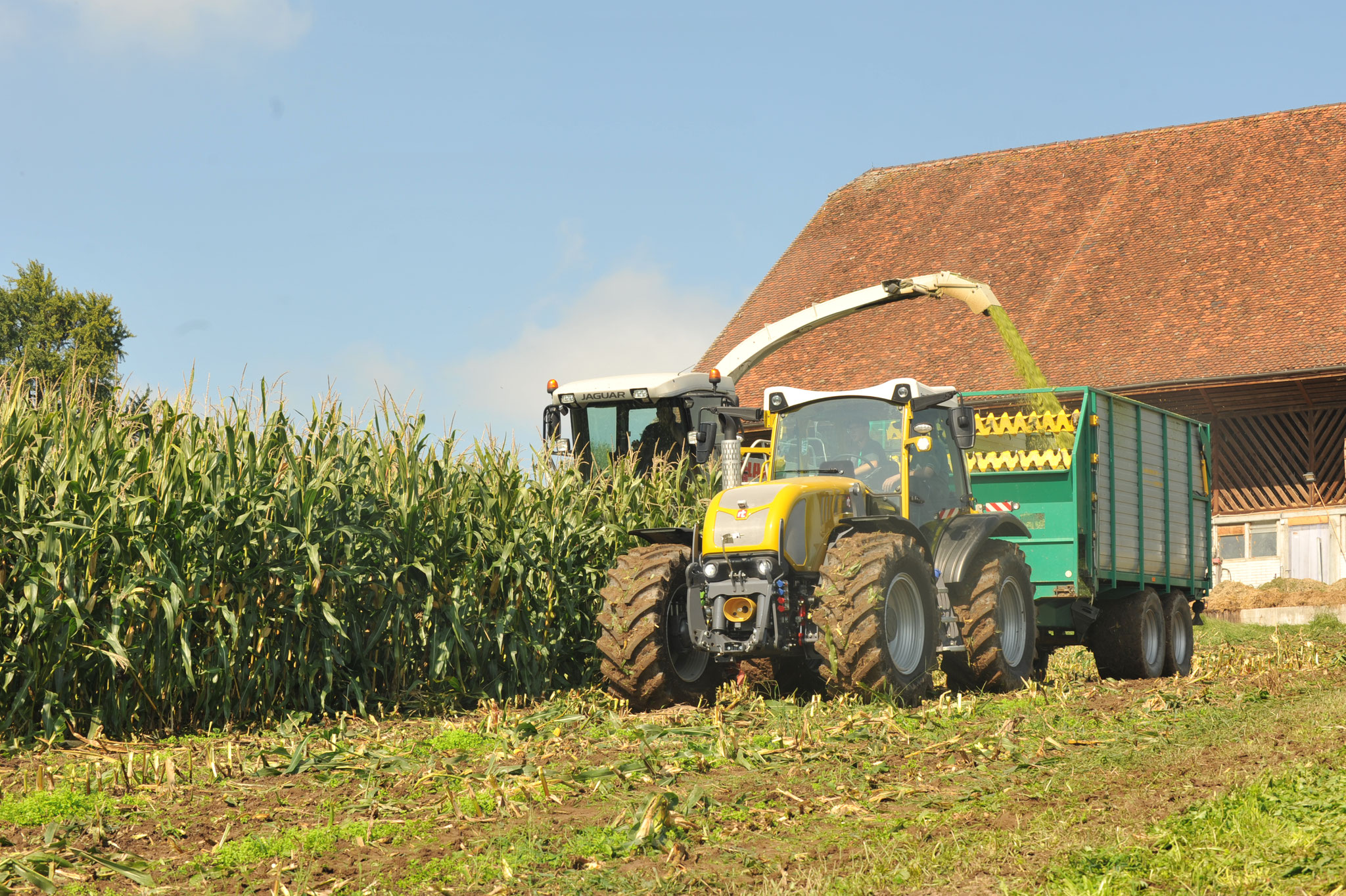 bibus-rigitrac-traktor