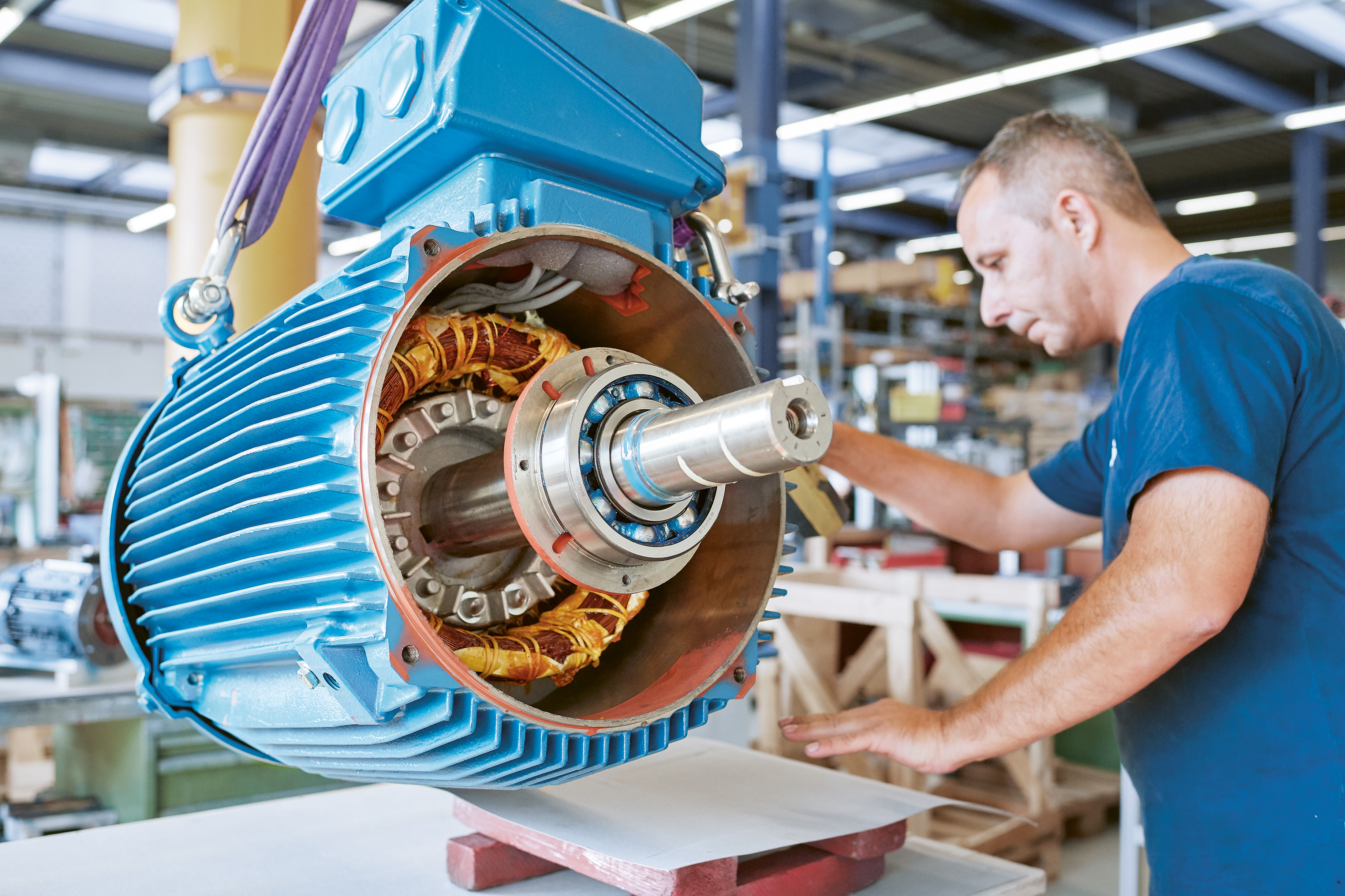 general_bibus_brochure-15