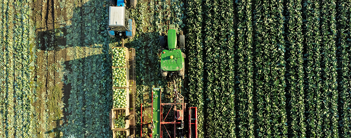 harvest-machine-header