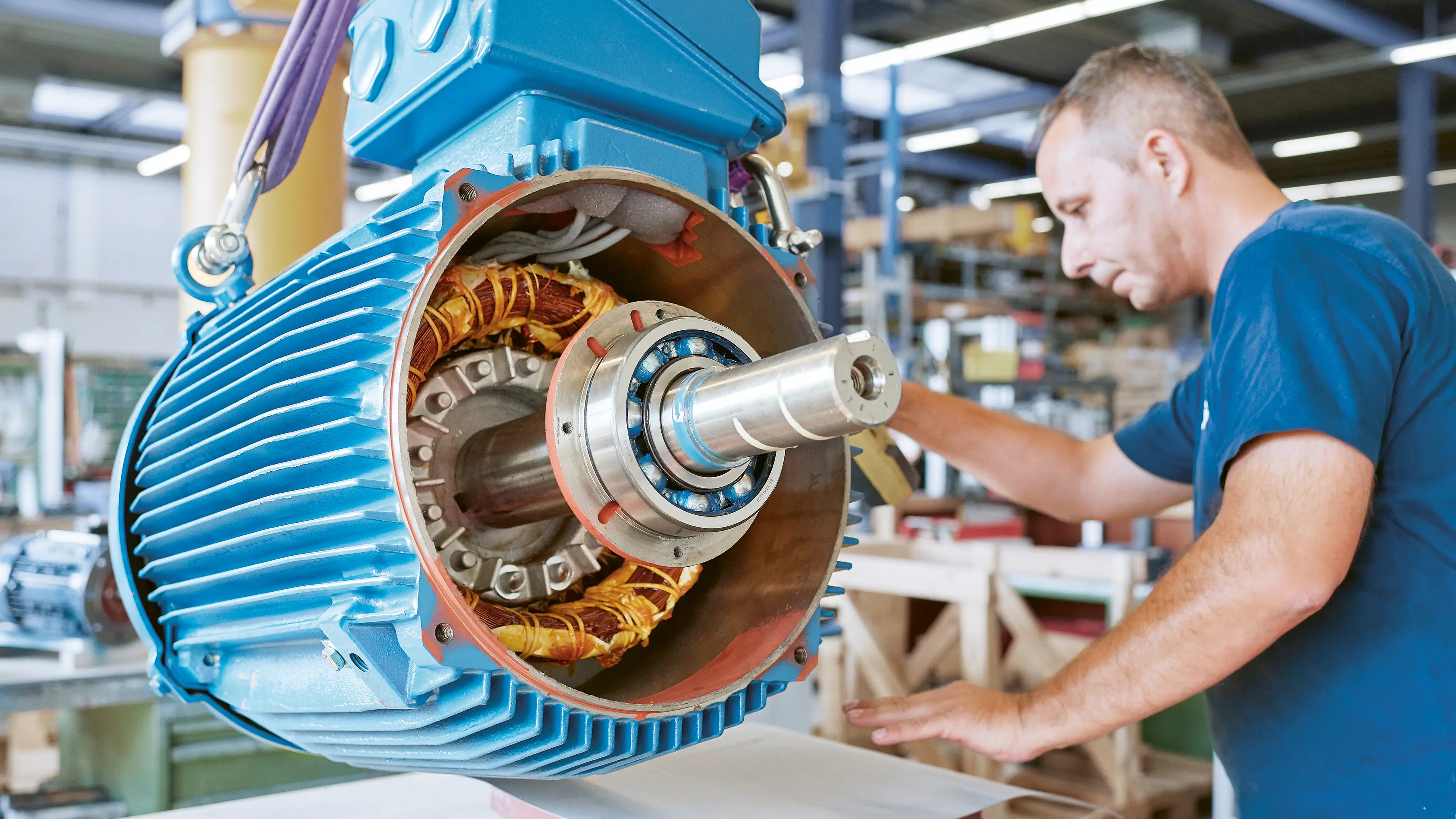 general_bibus_brochure-15